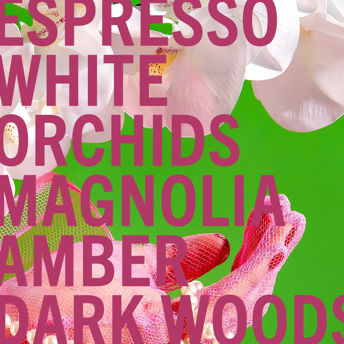 White Orchid Espresso Perfume 100ml